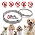 thumbnail image 2 of Collar antipulgas y garrapatas para mascotas, Collar de prevención de pulgas y garrapatas para perros y gatos, repelente de insectos antimosquitos, suministros para cachorros, hasta 8 meses Fivean unisex, 2 of 2