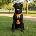 thumbnail image 7 of Nallwabiu No Pull Dog Harness Adjustable Vest with a Training Handle, Pocket, Easy to Put on & Take Off, With dog leash, 7 of 7