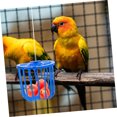 thumbnail image 5 of Bird Fruit Vegetable Feeder Basket Hanging Plastic Fruit Holder for Parakeets Cockatiels Lovebirds Canaries Bird Cage Accessory, 5 of 7