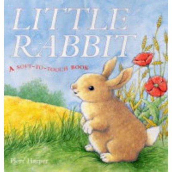 Pre-Owned Little Rabbit (Hardcover) 1405021721 9781405021722
