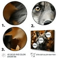 thumbnail image 3 of Designart "Enigmatic Woodland Fox" Animals Floater Framed Canvas Art Print, 3 of 7