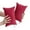 RD1, variant on 7x11 Inch Tiny Pillows 2 Pack, Down Alternative Microfiber Mini Pillows, Soft Machine Washable, for Travel, Pets, Neck/Wrist/Lumbar/Knee Support, Compact Portable Small Pillows