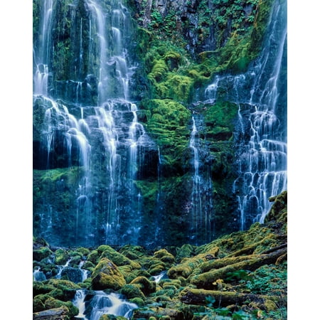 Scenic view of waterfall in a forest Lower Proxy Falls Three Sisters Wilderness Willamette National Forest Lane County Oregon USA Poster Print by Panoramic