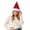 Red, variant on SYMOID Green Plush Santa Hat with Golden Bells, Unisex Christmas Party Costume Hats,Size Free Size