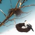 thumbnail image 4 of Nido de pájaro artificial con huevos, adorno para jardín, decoración, manualidades para nidos de pájaros. blanco, 4 of 9