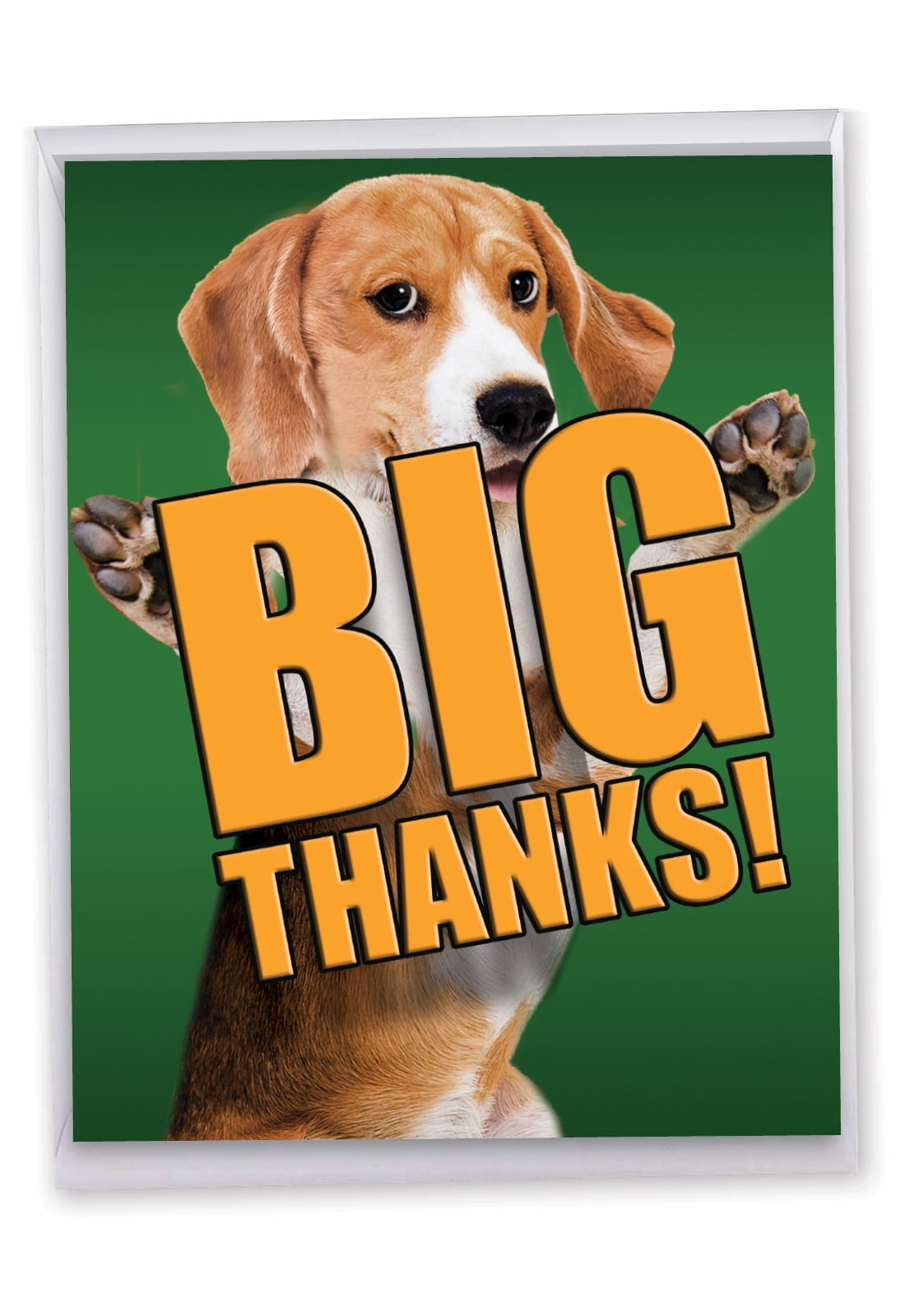 1 Jumbo Thank You Greeting Card (8.5 x 11 Inch) DOG BIG THANKS