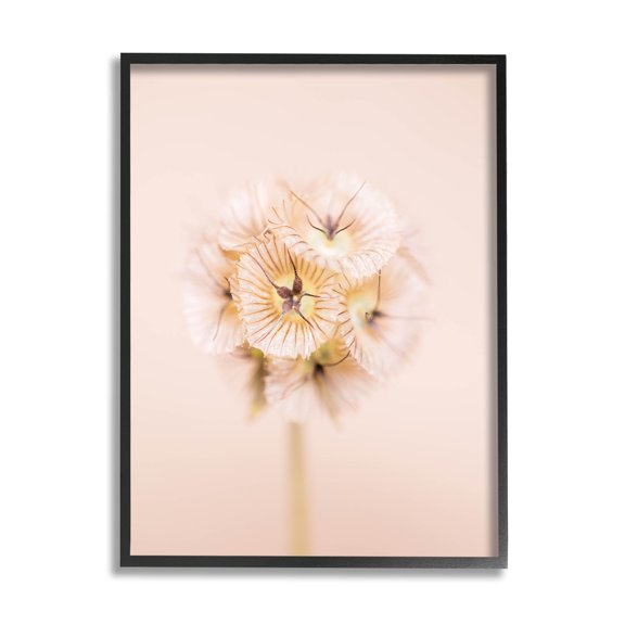 Pastel Pink Floral Sprig Bloom Botanical & Floral Photograph Black Framed Art Print Wall Art