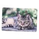 thumbnail image 3 of Estera plegable de doble capa para gatos Yuyangstore impermeable Colchoneta para perros, 3 of 7