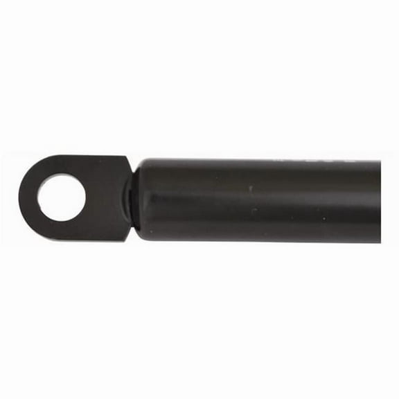 Attwood SL3601 12-20 in. C 60 Gas Spring, Black