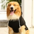 thumbnail image 7 of Pet Dog Hoodies Sweaters Winter Clothes with Hat And Pocket Costume Windproof Apparel for Small Medium Large Dog Black, 7 of 7