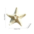 thumbnail image 3 of 10 Piece Mini Resin Starfish Set, DIY Starfish Decor for Beach Crafts Aquarium Layout Indoor Outdoor, Gift& Coastal Decor, 3 of 6