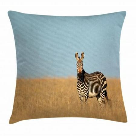 Wildlife Throw Pillow Cushion Cover, Cape Mountain Zebra National Park South Africa Endangered Species Dried Grass, Decorative Square Accent Pillow Case, 16 X 16 Inches, Multicolor, by