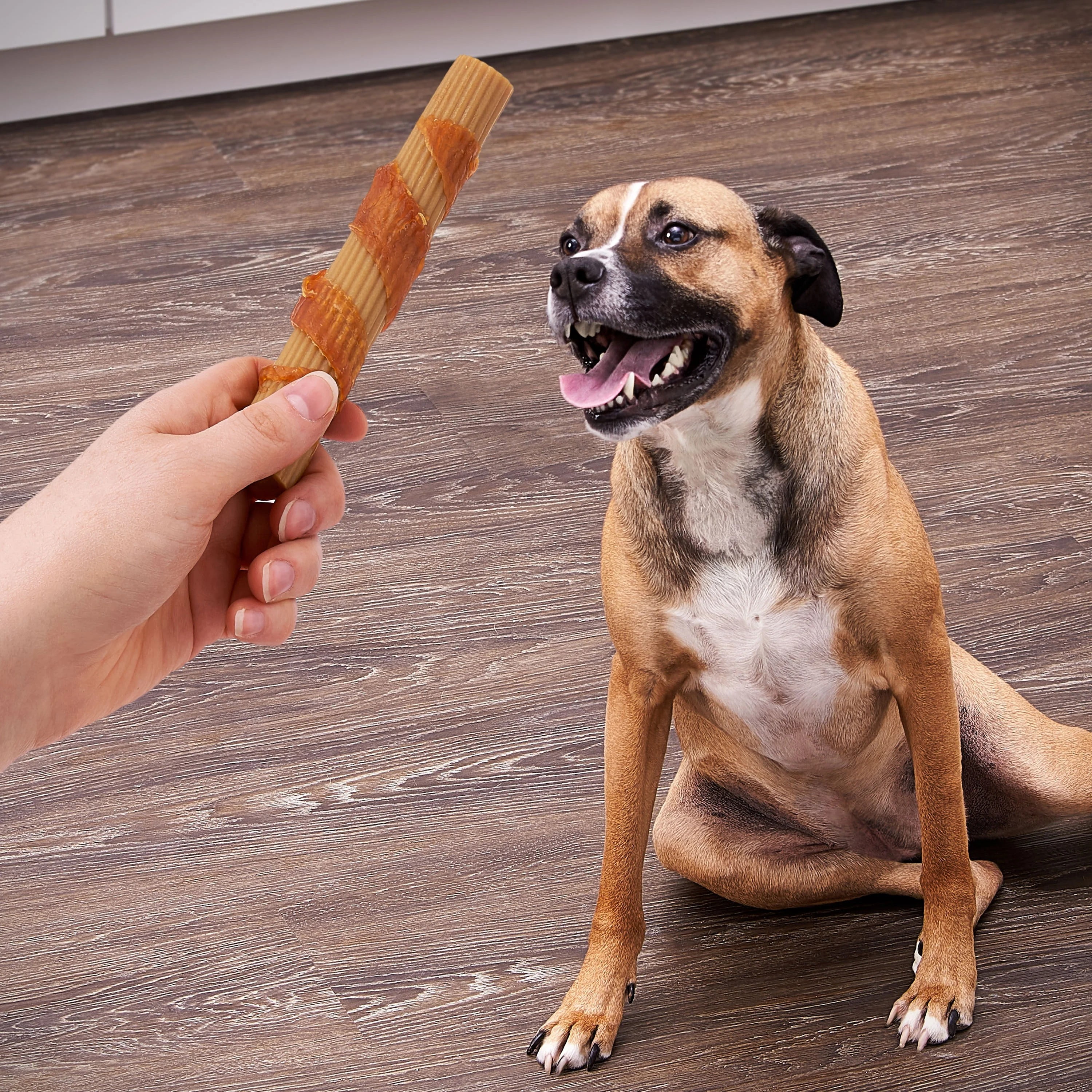 Ol' Roy Rawhide Free Wrapped Rolls with Chicken for Any Size Dogs, Dry, 8.47 oz Bag, 4 Count