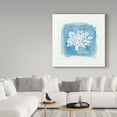 thumbnail image 3 of Trademark Fine Art 'Water Coral VI' Canvas Art by Lisa Audit, 3 of 3