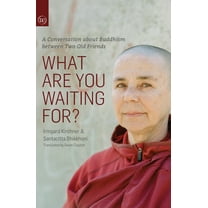 What Are You Waiting For?: A Conversation about Buddhism Between Two Old Friends, (Paperback)
