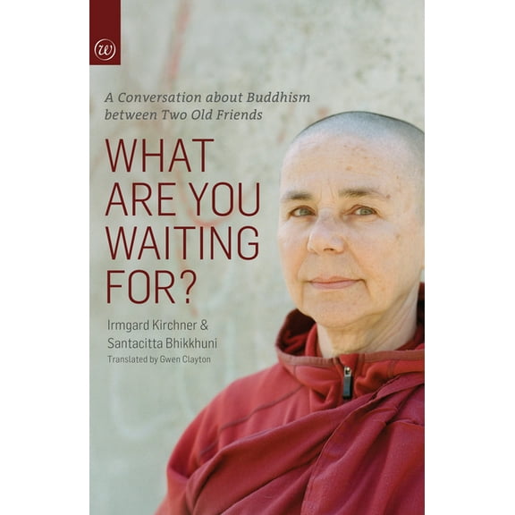 What Are You Waiting For?: A Conversation about Buddhism Between Two Old Friends, (Paperback)
