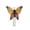 Multicolored, variant on Butterfly Wings Child Halloween Accessory