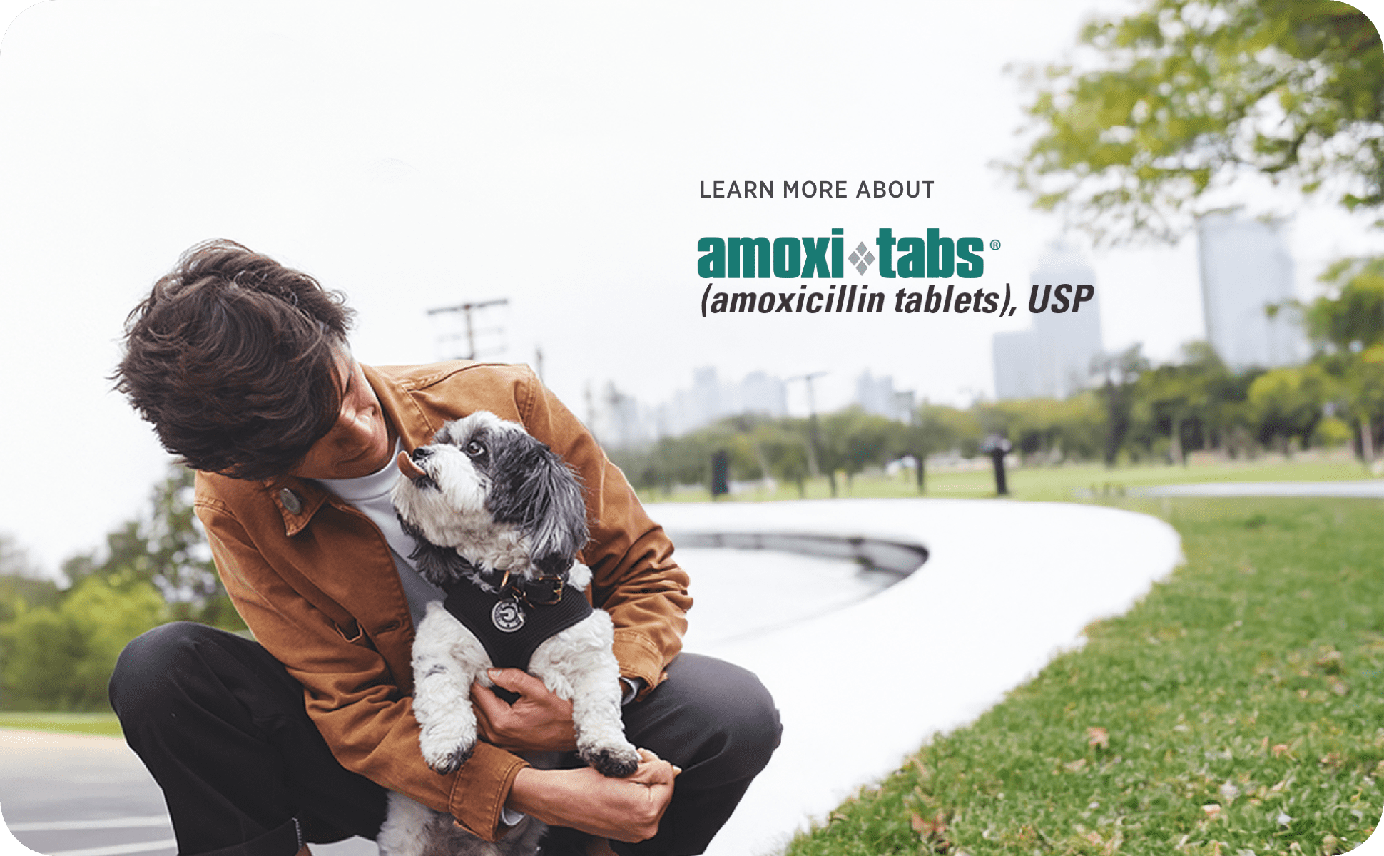 Amoxi-Tabs (Amoxicillin Tablets) for Dogs & Cats, 100 mg, Antibiotic Treatment