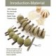 thumbnail image 3 of Juguetes masticables para dientes de conejo, juguetes molares para conejos, palitos de manzana naturales para conejos, chinchillas, conejillos de indias, hámsteres. Masticar y jugar mejoran, 3 of 5