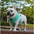 thumbnail image 5 of EcoBark Classic Dog Harness Max Comfort Eco-Friendly No Pull Pet Vest Puppy Harness for Small Large Dogs, 5 of 9