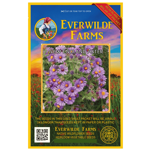 Everwilde Farms 1000 New England Aster Native Wildflower Seeds Gold