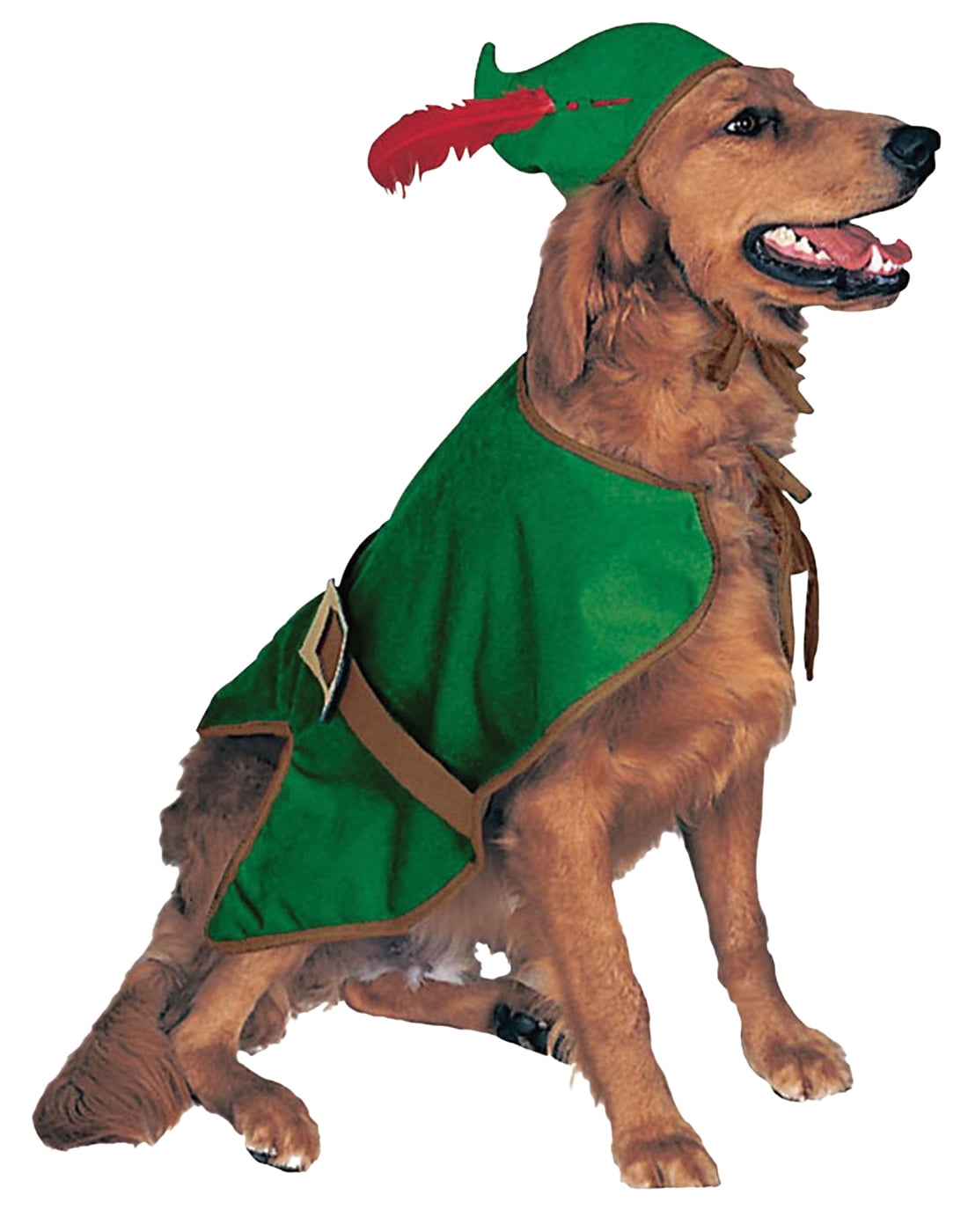 Dog Robin Hood Prince Pet Dress Up Halloween Costume L