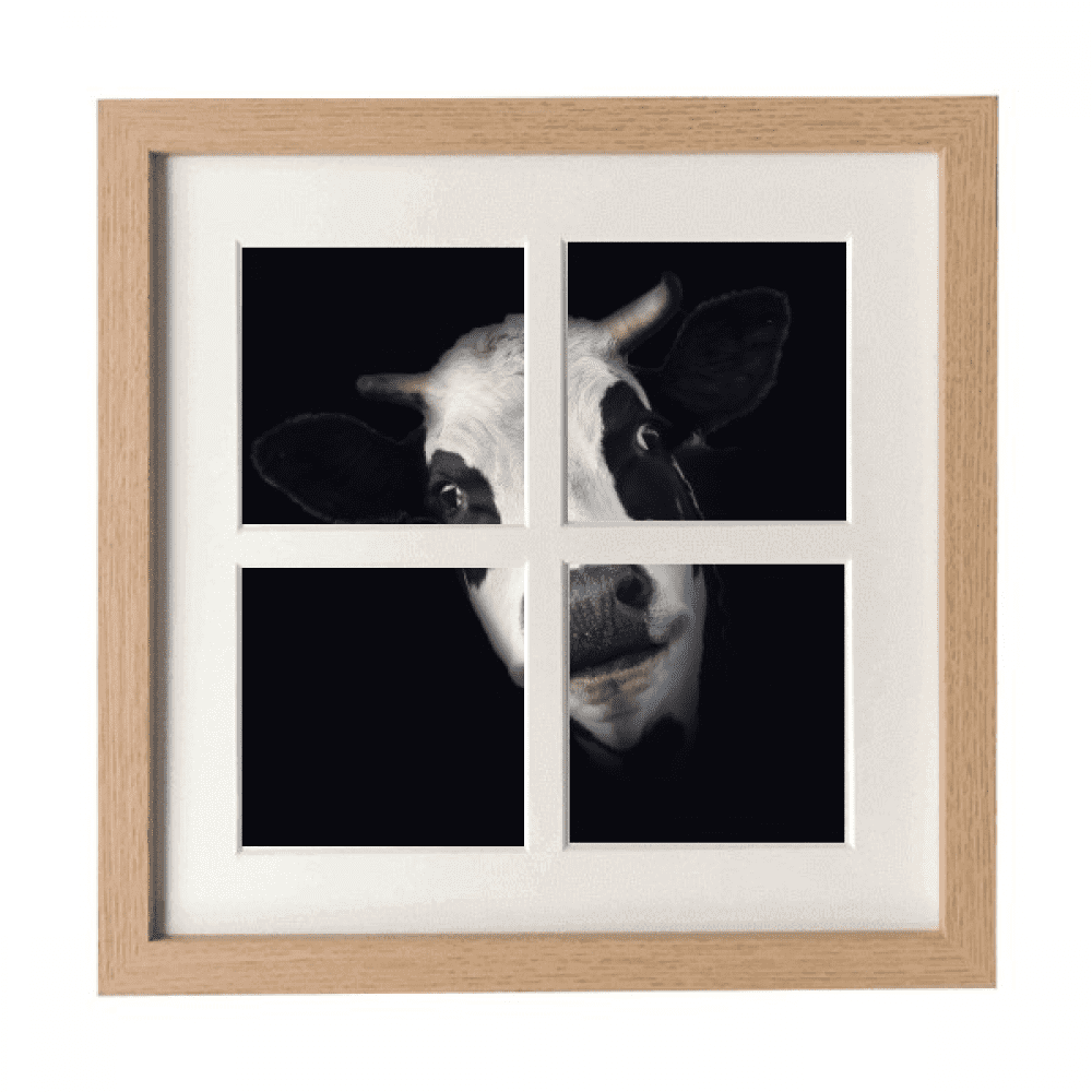 Corne d'Observation Noire Vache Laitière Cadre Mur Table Affichage 4 Ouvertures Image