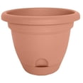 thumbnail image 1 of Bloem LP0646 6 in. Lucca Planter&44; Terre Cuite, 1 of 1