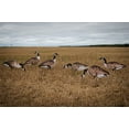 thumbnail image 2 of Real-Geese 1 Doz Vivid Series Silhouette Decoys, 2 of 4