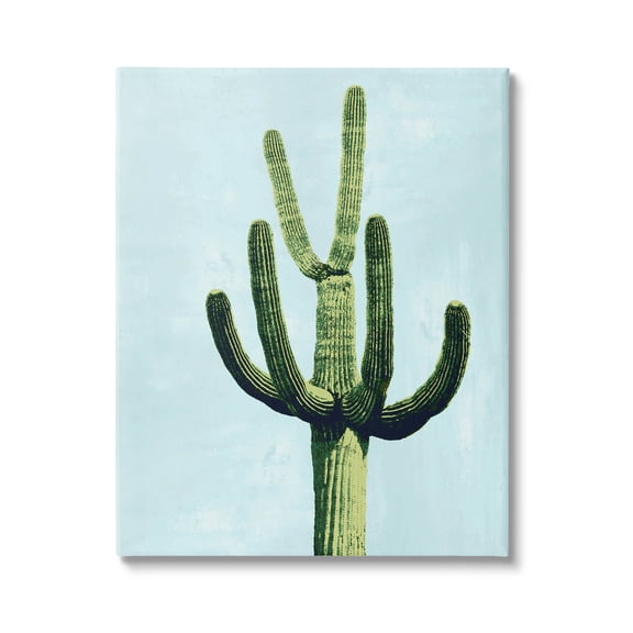 Cactus Plant Arid Vegetation Botanical & Floral Graphic Art Gallery Wrapped Canvas Print Wall Art