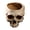 White, variant on Skull Planter with Drain Hole, Halloween Resin Skull Shaped Flower Pot Candy Bowl, Gothic Halloween Decoration for Home Office Desk - White