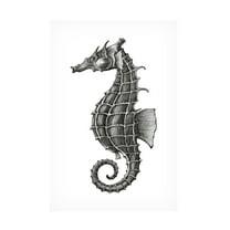 Trademark Fine Art jay stanley  Seahorse Canvas Wall Art