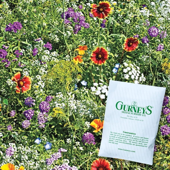 Beneficial Bug Wildflower Mixture Flowering Seeds, 0.25 lbs seeds per pack