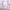 Purple, variant on Voile Semi Sheer Curtains Set of 2, Sheer Curtain Scarf Drapes Rod Pocket Crushed Window Panels for Bedroom Living Room Kitchen, Voile Tulle Room Window Curtain Sheer Voile Panel Drapes Curtain