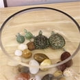 thumbnail image 4 of Glass circular household transparent small desktop turtle jar, 4 of 4