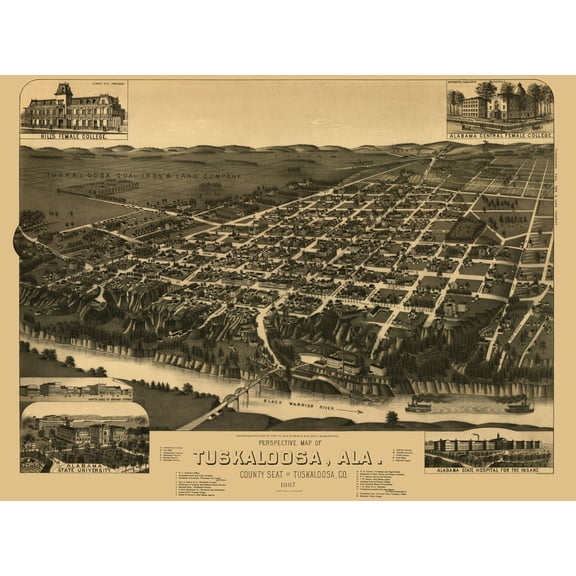 Historic Panoramic View - Tuskaloosa Alabama - Wellge 1887 - Vintage Wall Art