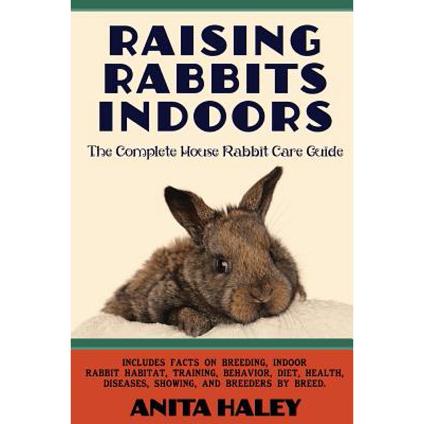 Raising Rabbits Indoors The Complete House Rabbit Care Guide
