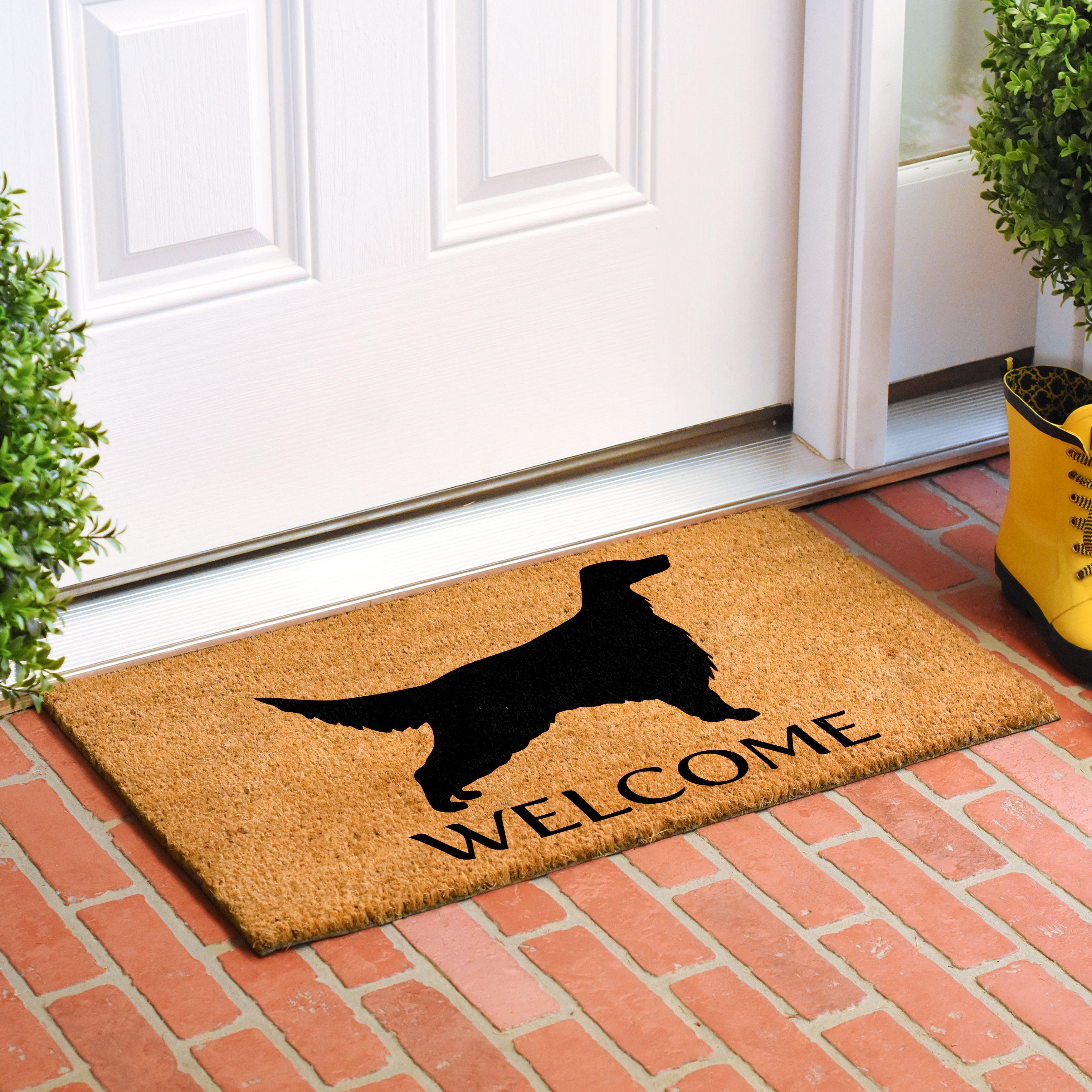 Calloway Mills 107082436 English Setter Doormat 24" x 36"