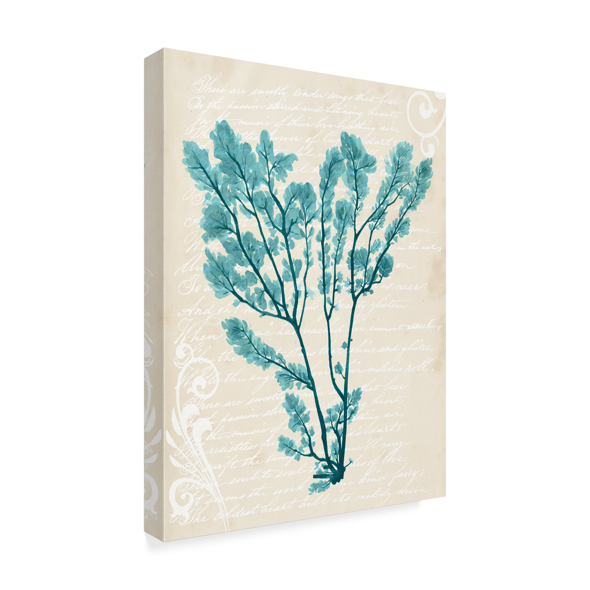 Trademark Fine Art 'Teal Seaweed V' Canvas Art by Grace Popp