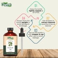 thumbnail image 3 of Aceite de Patchouli Organic Zing Natural para Cuidado de Piel y Cabello, 3 of 8
