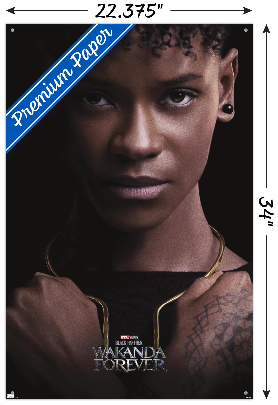 Marvel Black Panther: Wakanda Forever - Shuri One Sheet Wall Poster with Pushpins, 22.375" x 34"