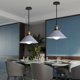 thumbnail image 3 of CHANDELIER - SUSPENSION Lighting Lámpara colgante con pantalla metálica E27 22cm gris, 3 of 5