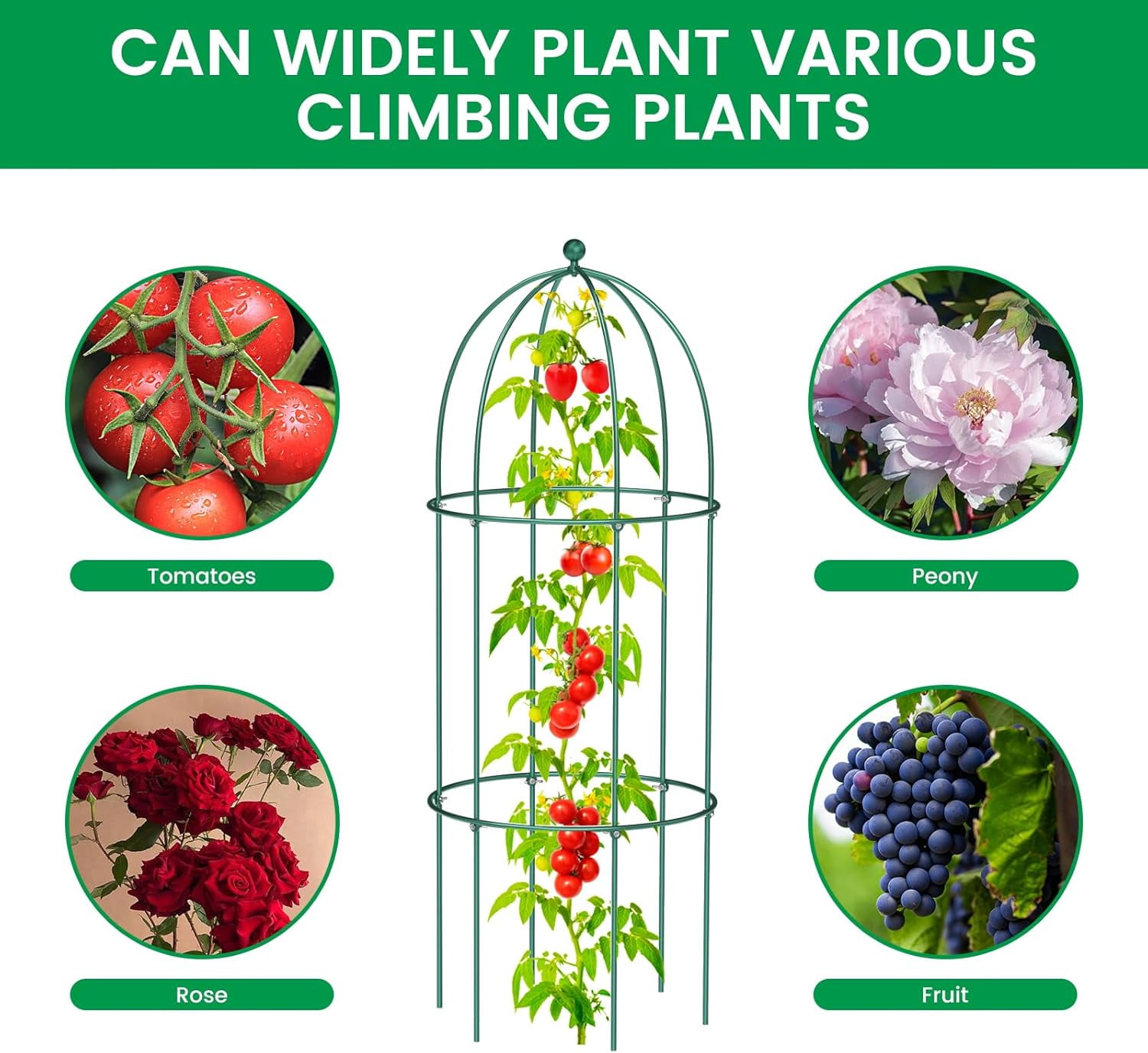Zikebtuy 3 Pack Bird Cage Plant Support, 31.5" H Large Metal Plants Support Frame for Tomatoes Peonies Lily Rose and Other Flopping Flowers Garden Decor for Outdoor Plants Flowers Vegetables, Green