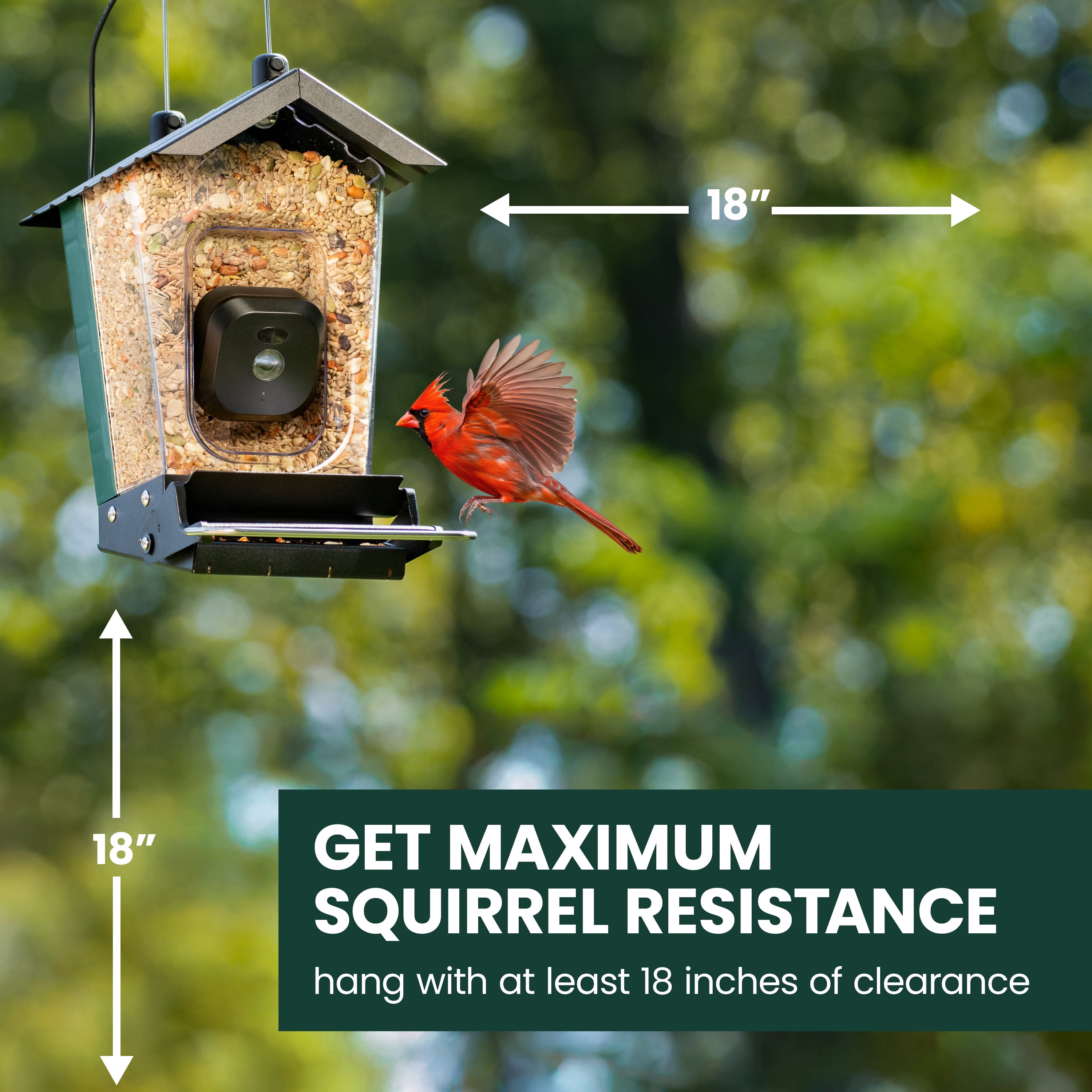 Perky-Pet Solar Powered Smart Bird Feeder with Camera