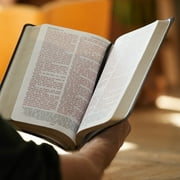 KJV, Reference Bible, Personal Size Giant Print, Bonded Leather, Burgundy, Red Letter Edition (Large Print) (Hardcover)