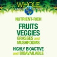 thumbnail image 4 of Natural Factors Whole Earth & Sea, Organic Fermented Protein & Greens, Vegan Whole Food Supplement, Unflavored, 1 lb 9 Oz, 4 of 8