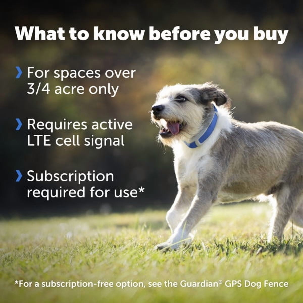 PetSafe Guardian GPS + Tracking Dog Wireless Fence Collar, Over 3/4 Acres, Subscription Required