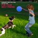 thumbnail image 4 of 2 uds., disco volador para perros, juguete receptor de goma, juguetes para perros grandes MFZFUKR 220643-2, 4 of 8