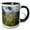 Black/White, variant on 3drose, Kizkumu Maidens Beach Orhaniye Bozburun Peninsula, 11oz Magic Transforming Mug