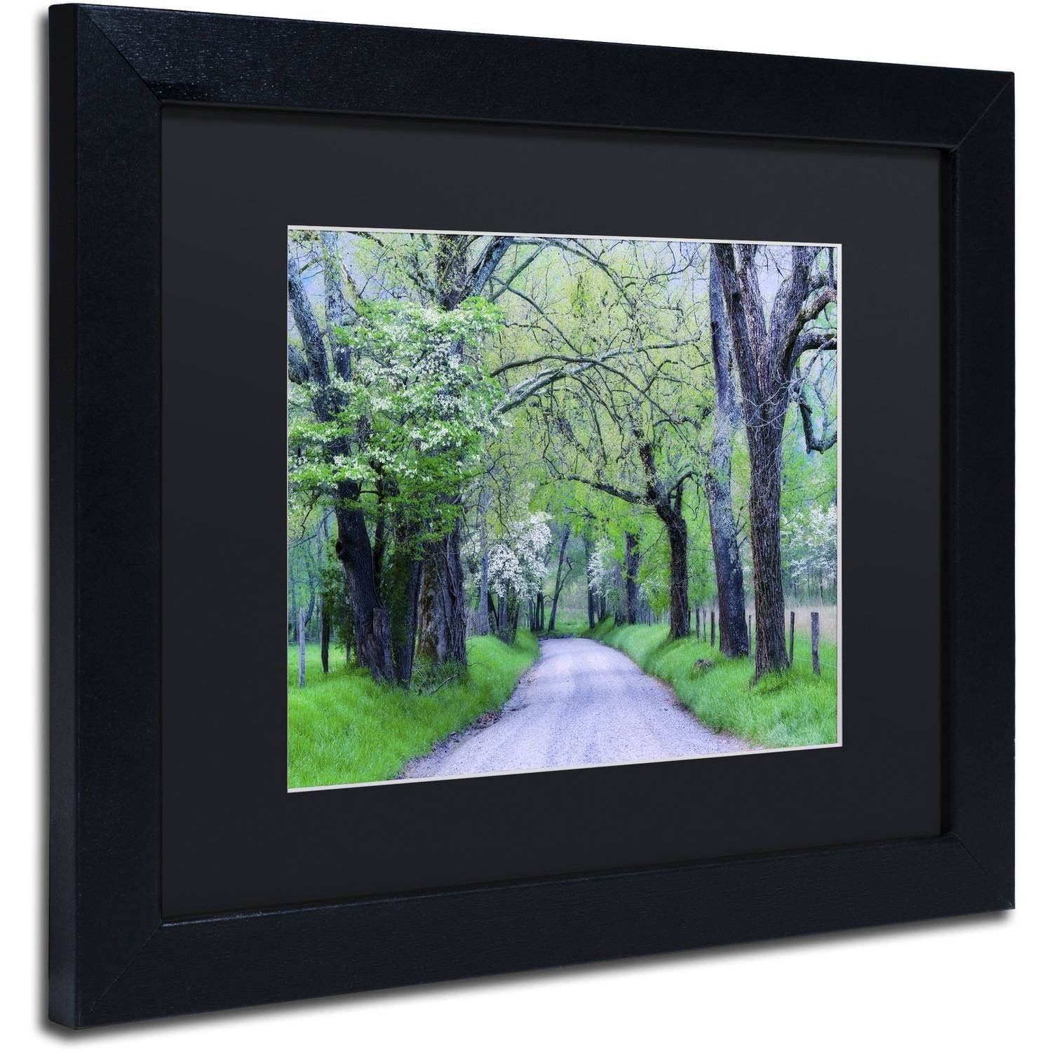 Trademark Fine Art "Cades Cove Lane" Canvas Art by Michael Blanchette Photography Black Matte, Black Frame